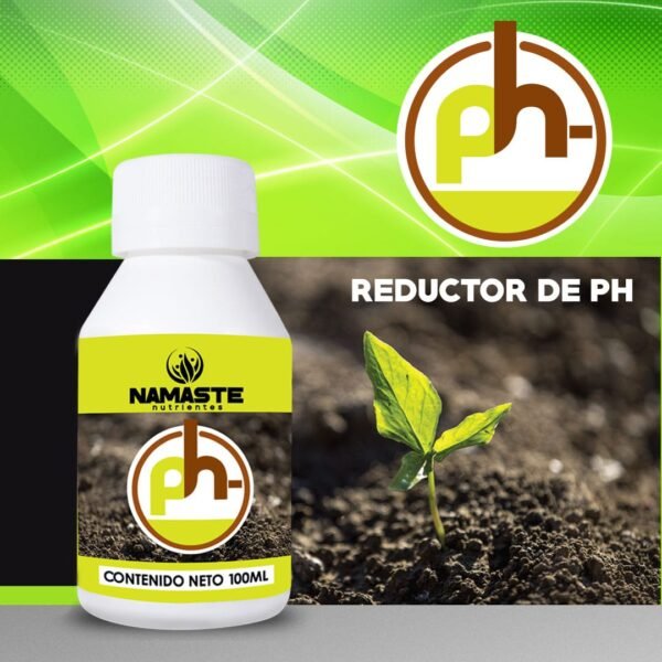 Namaste ph- 100CC