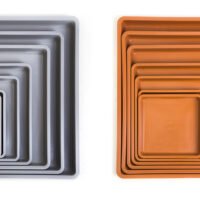 Platos Cuadrados