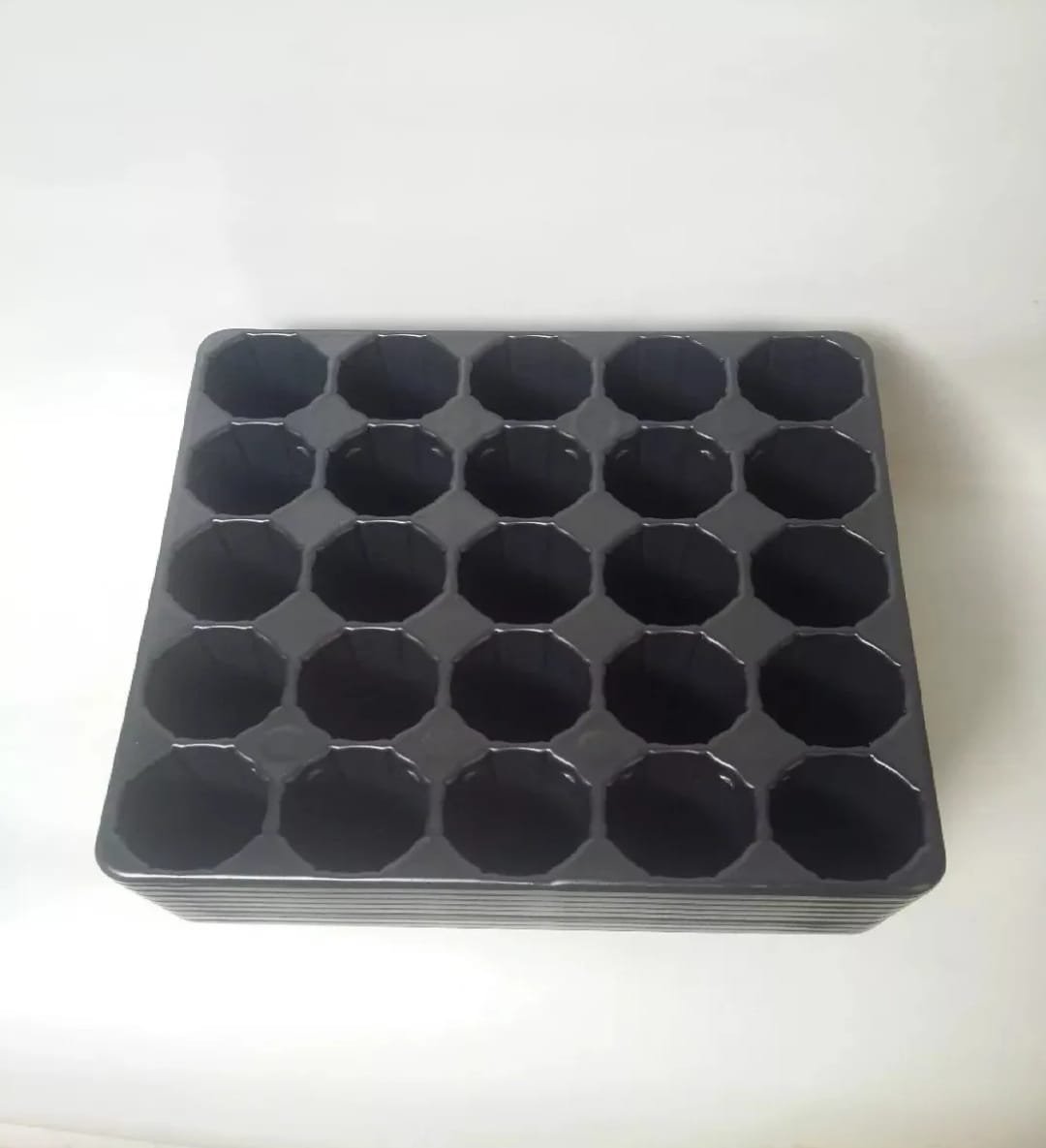 Bandeja para almacigo - Imagen 5