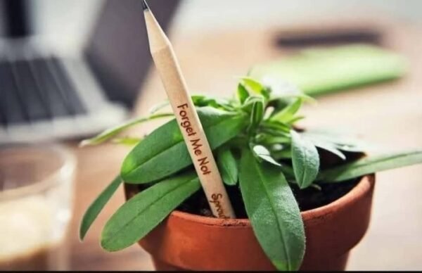 Lapiz Plantable x unidad con semilla incluida