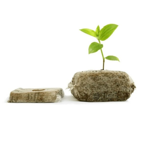 FIBRA DE COCO JIFFY GROWBLOCK (10CM X 10CM)