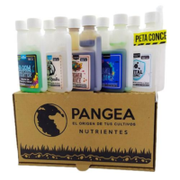 KIT PROFESIONAL PANGEA- RESULTADOS PREMIUM