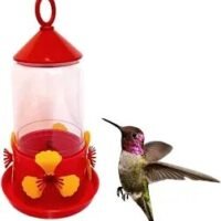 Bebedero Para Colibri Picaflor Comedero Aves Nectar Elpe