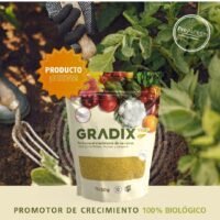 GRADIX