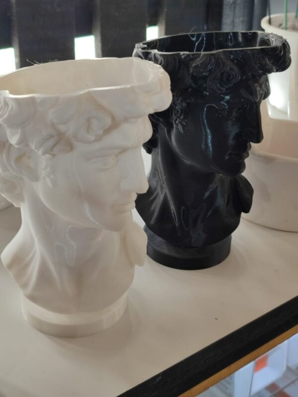 david 3d